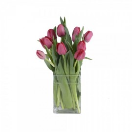 Les tulipes enchantées